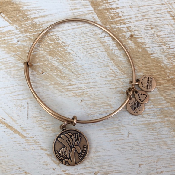 Alex And Ani Sister Bracelet - Adjustable Charm Bangle With Unbreakable Bonds Message